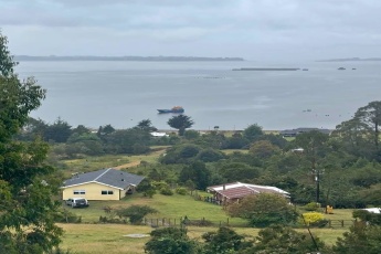 Panitao bajo, Puerto Montt, 0 , 0 ,0,Parcela,En Venta,0,1161 Panitao bajo, Puerto Montt, 0 , 0 ,0,Parcela,En Venta,0,1161